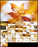 爱上秋天落叶缤纷邂逅秋天ppt