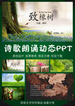 致橡树诗歌朗诵PPT模板