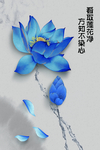蓝莲花