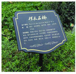 树牌