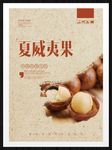 夏威夷果