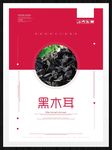 黑木耳