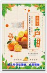橘子 橙子