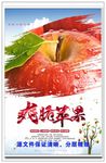苹果