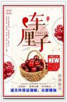 车厘子 樱桃