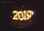 2019 2019年