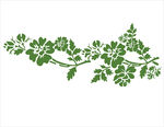 硅藻泥 贝壳粉 硅藻泥矢量图