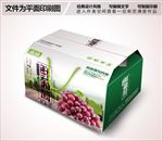 葡萄包装设计