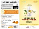 三生生命健姜黄玉米肽DM宣传单