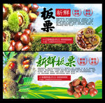 板栗