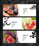 无花果宣传海报