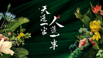 洋房背景板