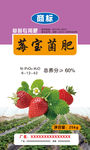 草莓专用肥料包装袋设计