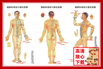 人体穴位