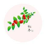 红枣