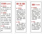 地板介绍