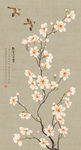 工笔花鸟