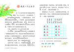 我是一只小虫子课件