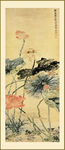 国画荷花