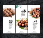 夏威夷果宣传海报