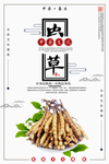 虫草