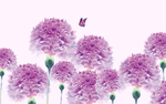 粉花朵手绘玄关屏风背景底纹素材