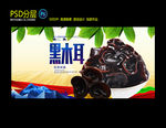 黑木耳