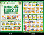 药房药店端午节促销DM宣传单
