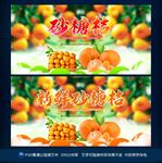 砂糖桔