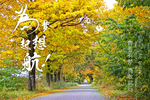 吖吖
