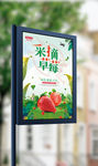 春夏采摘草莓旅游活动海报设计
