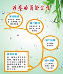 痤疮的消除过程