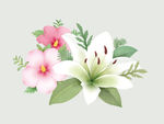 高清分层手绘花
