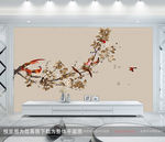 花鸟背景