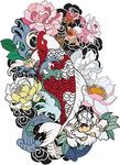 锦鲤插画