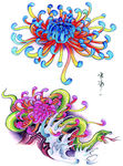 手绘菊花