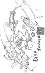 素描鲤鱼莲花
