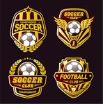 足球徽章