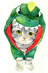 猫猫