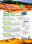 金沙岛
