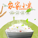 大米
