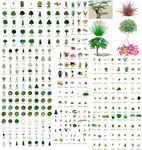 花卉植物模型