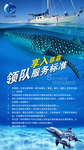 海报广告