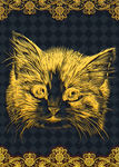 猫咪