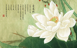 背景墙