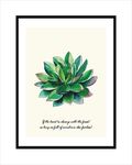 多肉植物挂画