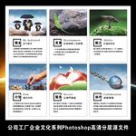 企业文化励志挂图公司工厂标语牌
