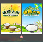 大米