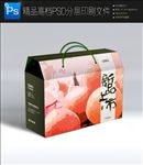 高档通用绿色水果包装手提礼盒