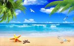 海景椰子树